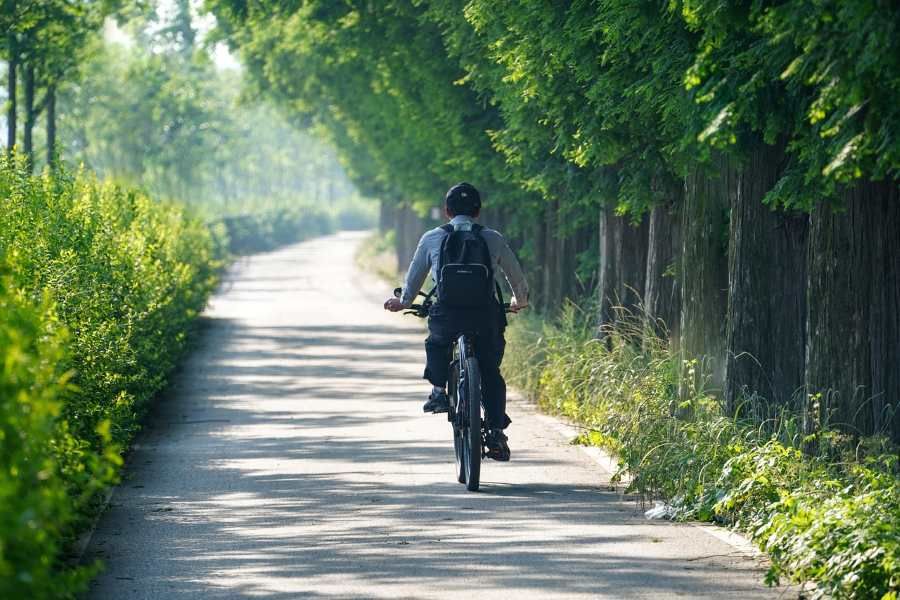 Ministerstvo investuje 7 miliard do cyklostezek: Bohumín otevírá novou trasu