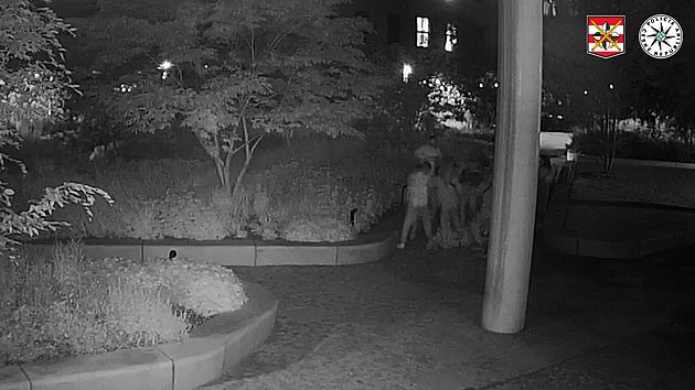 Mladiství pachatelé potrestáni za brutální útok a krádež