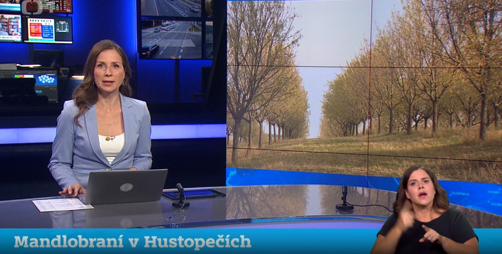 V Hustopečích poprvé sklízeli mandle přímo s návštěvníky. Mandlobraní nabídlo i neobvyklé ukázky