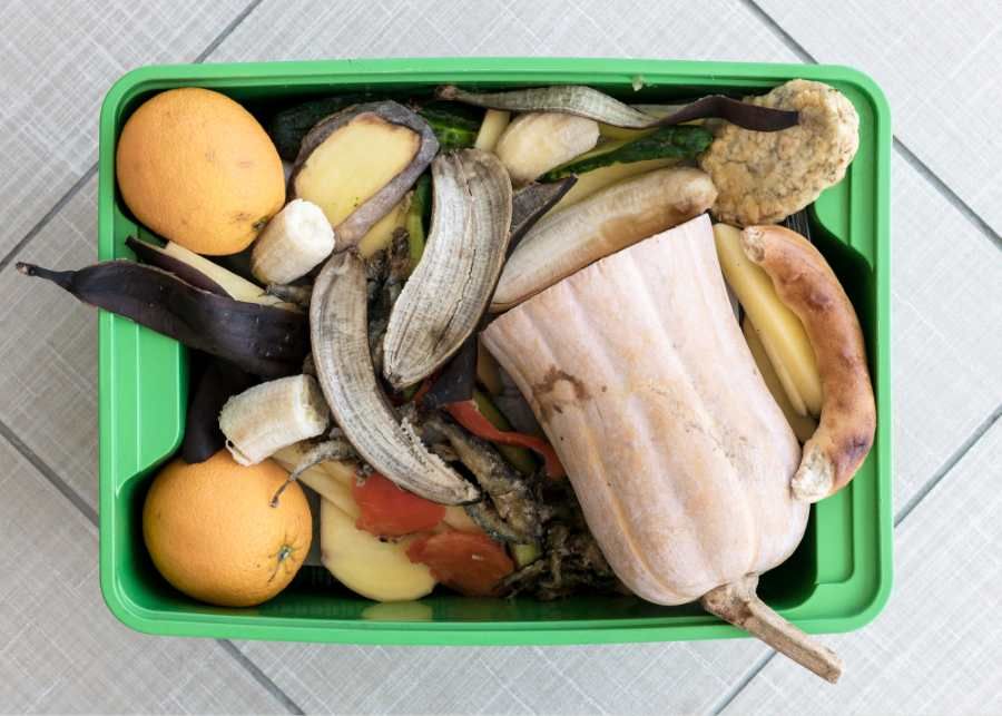 Každý Pražan ročně vyhodí 26 kg jídla: Manuál k úsporám