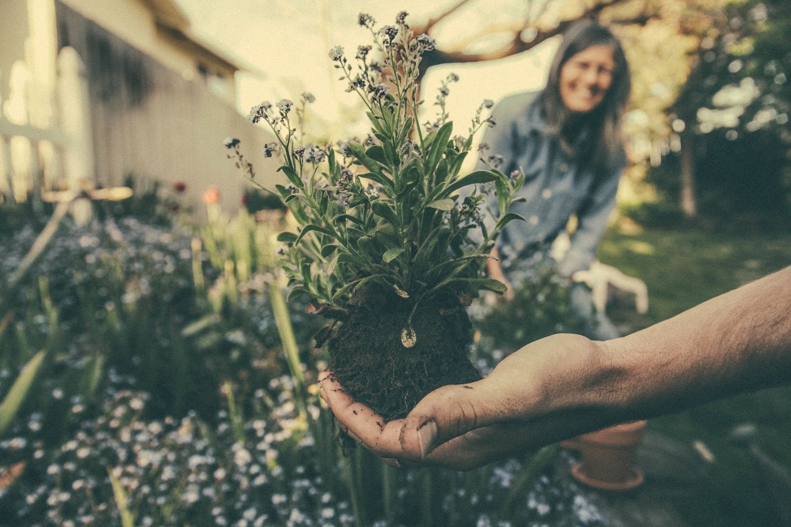 obrázek: Bayerova–Botanická v Brně získá nové vybavení i zeleň
