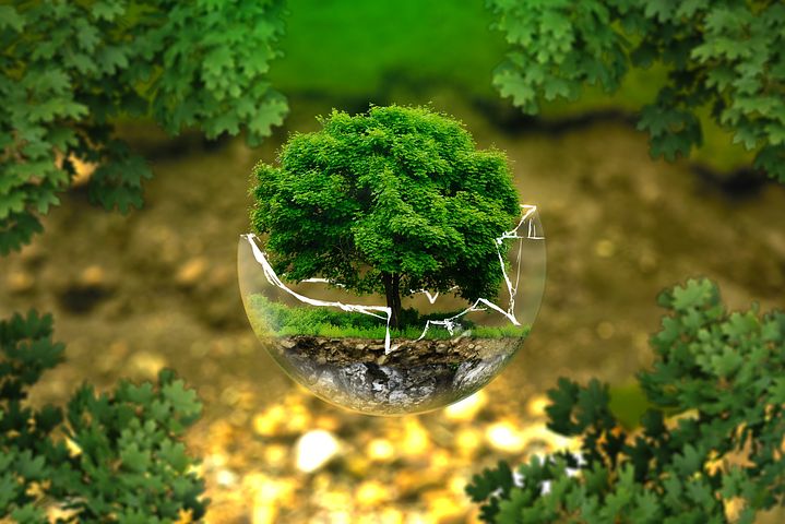 obrázek: Brno míří k ekologičtějším zítřkům i díky projektu „Just Climate Neutral“