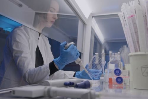 obrázek:Rekordní zájem o Brno Ph.D. Talent: 193 přihlášek, o 42 více než loni. Stipendium 360 tisíc získá 25 doktorandů