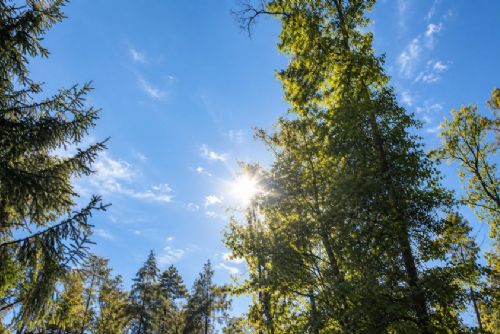 obrázek:Babí léto na jižní Moravě do středy. Ve čtvrtek dorazí fronta, v pátek ochlazení na 15 °C