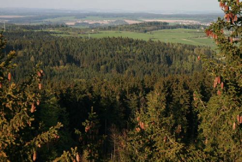 Foto: K budoucnosti likusáků na Kraví hoře se vyjádří veřejnost, město v září vyhlásí anketu