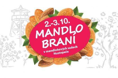 obrázek:Hudba, jídlo, pití a všude mandle. Přijďte si užít Mandlobraní v hustopečském sadu.