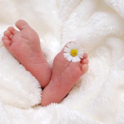 Babybox na radnici Prahy 6 zachránil šesté dítě