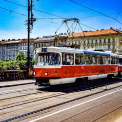 Lužánky se vozí po Brně ve dvou tramvajích