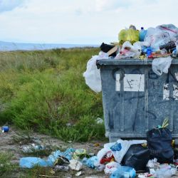 Krajští úředníci Moravskoslezského kraje opět uklízeli přírodu