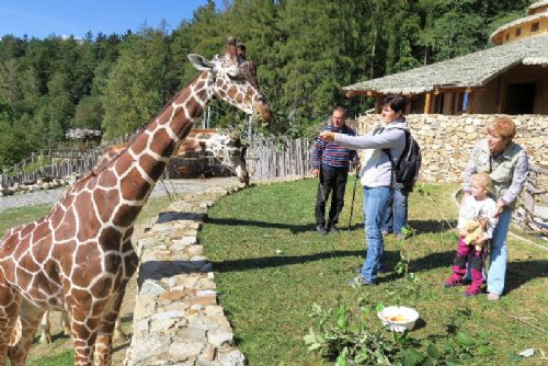 Foto: Minulost i budoucnost. Zoo Brno slaví 70 let od otevření výstavou v Urban centru