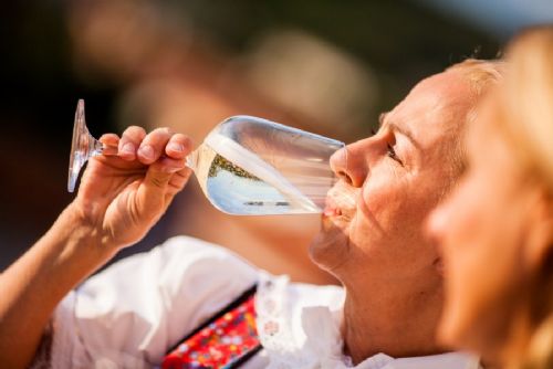 obrázek:Jižní Morava žije v září vínem. Vinobraní nabídnou Mikulov, Znojmo, Uherské Hradiště i Velké Pavlovice
