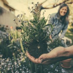 Bayerova–Botanická v Brně získá nové vybavení i zeleň