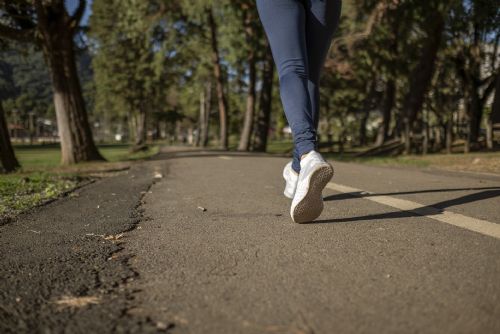 Foto: Lesná bude mít sportovní halu