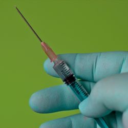 Studie nastíní sílu protilátek u seniorů v Brně. Částečně odhalí očkovací strategii do budoucna