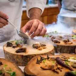 Městská společnost ARENA BRNO hledá provozovatele gastronomických služeb ve stejnojmenné multifunkční hale