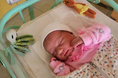 Foto: Prvním miminkem znojemské nemocnice a okresu Znojmo v roce 2024 je Viktorie